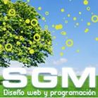 SGM | Diseño web Profesional